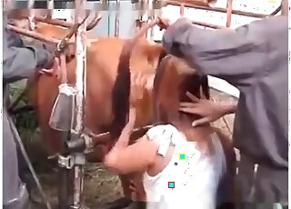 Going to the farm and playing games with the animals